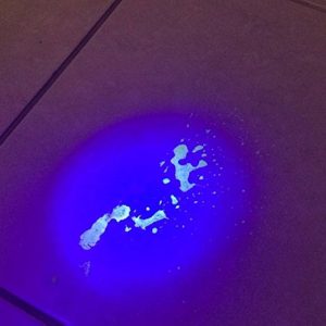 511ieQILn8L._UF894,1000_QL80_ 511ieQILn8L._UF894,1000_QL80_