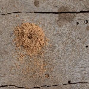 Zaagsel of boormeel onder het hout Zaagsel of boormeel onder het hout