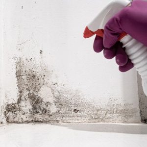 Zoete, muffe geur in de slaapkamer Zoete, muffe geur in de slaapkamer